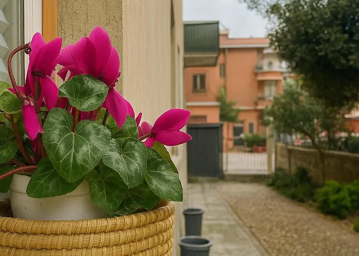 Casetta Beatrice Cozy Flat Near Vatican Roma